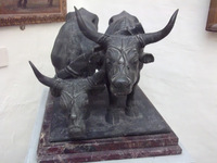 Una scultura di Corrado Corelli: "Buoi". Bronzo. Datazione 1910 circa. National Museum of Fine Arts (Valletta, Malta)