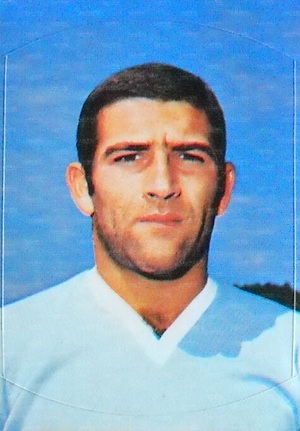 Garlaschelli figu3.jpg