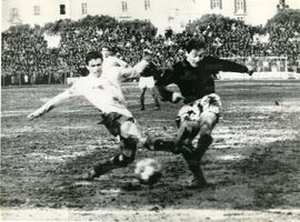 Mari cerca disperatamente di impedire a ...