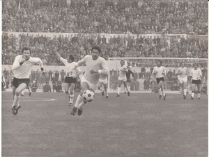 Cesena73-74 (15).jpg