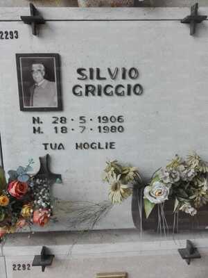 GriggioSilviotomba.jpg