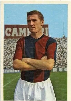 FranziniBruno bologna.jpg