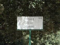 La tabella toponomastica (foto © F.Munno)