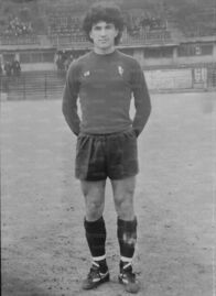 Con la maglia del Torino