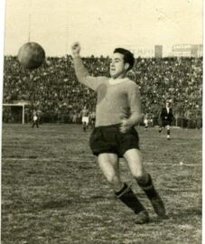 Puccinelli in azione