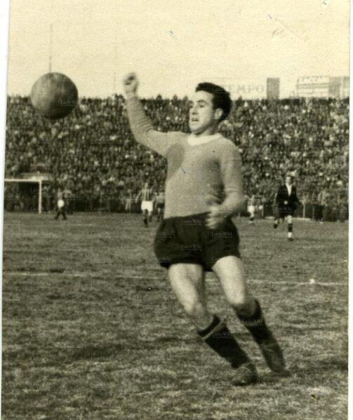 File:2feb47Puccinelli.jpg