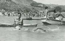Geminio Ognio, durante una delle gare più seguite degli anni 40, la Traversata di Roma sul Tevere. (Gent. conc. SS Lazio Nuoto)