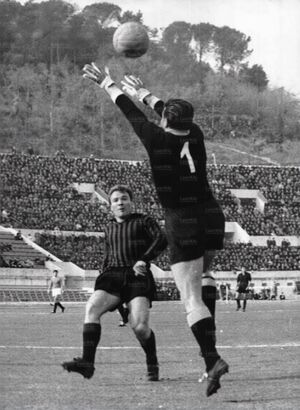 21feb65c.jpg