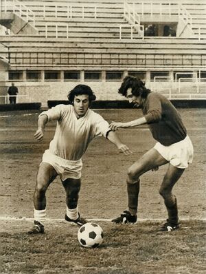 08feb73LaRosa2.jpg