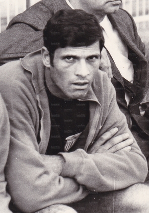 AmataMario.jpg