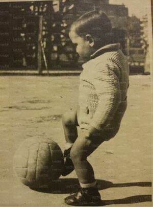 Ferri bambino.jpg