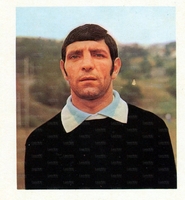 Un'immagine del calciatore