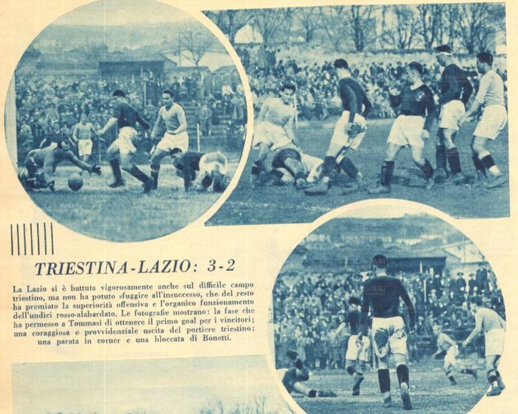 File:Trilgol.jpg