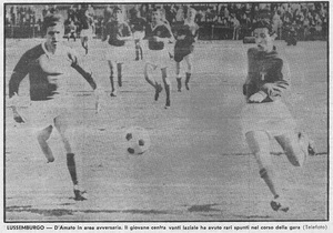 D'Amato Nazionale.jpg