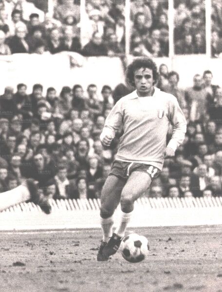 File:DAmico 1975 75.jpg