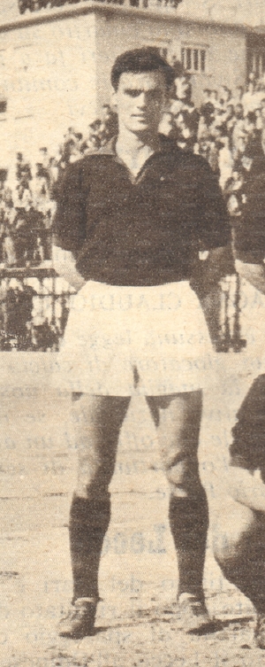 JoanCosenza.jpg