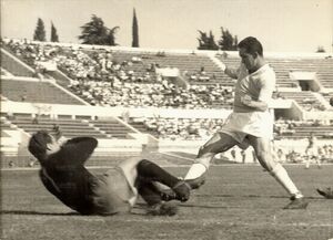 2giu57Tozzi1.jpg