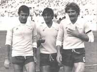 Garlaschelli, Giordano e Zucchini