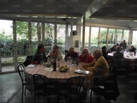 Celli, De Luca, Cinquepalmi, Soro e Cavazza