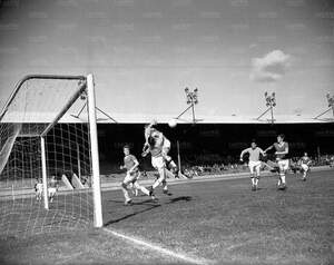 FB IMG 1487760686783.jpg