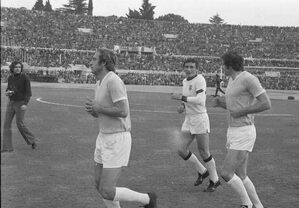 Marcello geppetti43.jpg