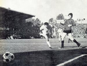 Inselvini foggia.jpg