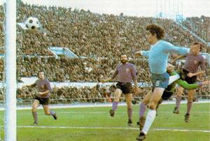 Fiorentina gol viola.jpg