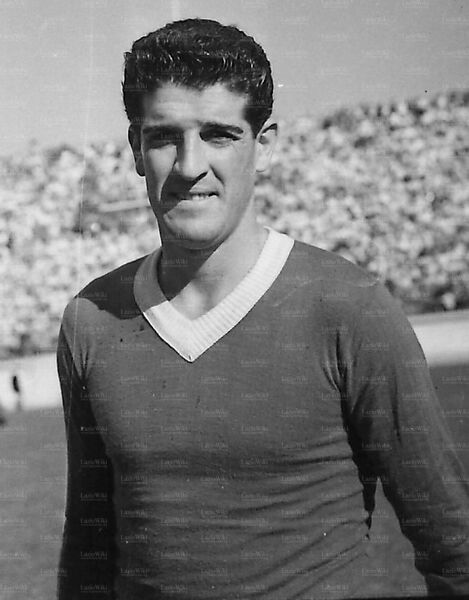 File:Paolo Todeschini.jpg