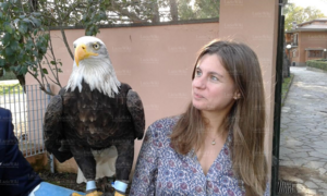 Barbara aquilab.png