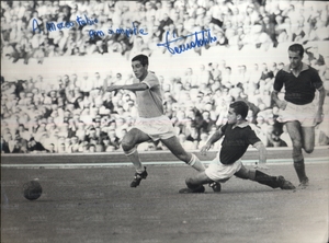 23ott66DAmato.jpg