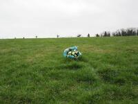 I fiori deposti da F. Tarantini a nome suo e di LazioWiki in ricordo di Luigi Bigiarelli