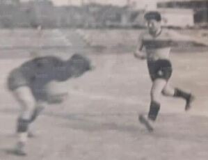 Paniz2.jpg