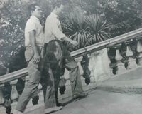 Hansen sale la michelangiolesca cordonata del Campidoglio in compagnia del giallorosso Nyers