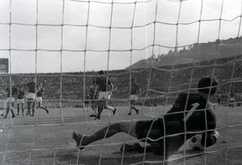 Una parata di Ginulfi