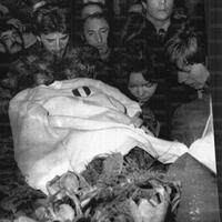 La bara viene tumulata a Nerviano