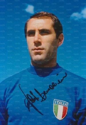 Bercellino nazionale.jpg