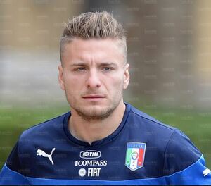 Immobile1.jpg