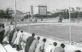 Spettatori di una corsa di levrieri sul cinodromo della Rondinella