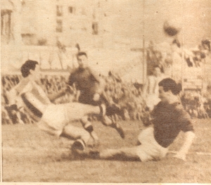 8feb1948d.jpg