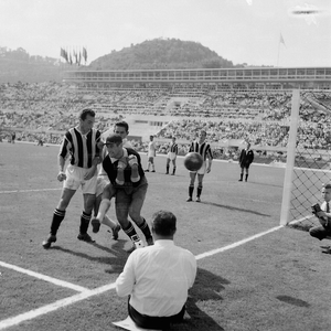 Udinese5859d.jpg