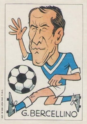 Bercellino vignetta.jpg