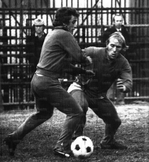 Cecco e Vincenzino.jpg