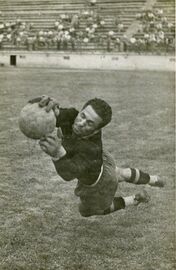 Impegnato in una parata allo stadio Torino