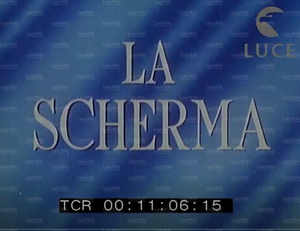 FDNST - C6, S1, F4.jpg