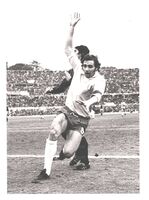 Chinaglia in azione
