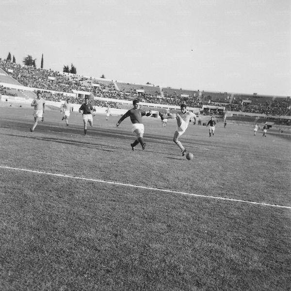 File:Triestina5859n.jpg