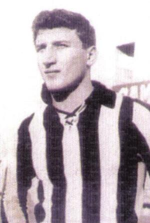 Giovanni Mezzetti.jpg