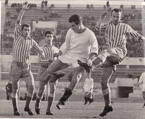 2feb64Morrone.jpg