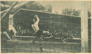 3mar46y.jpg