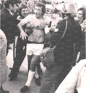 12maggio1974DAmico.jpg